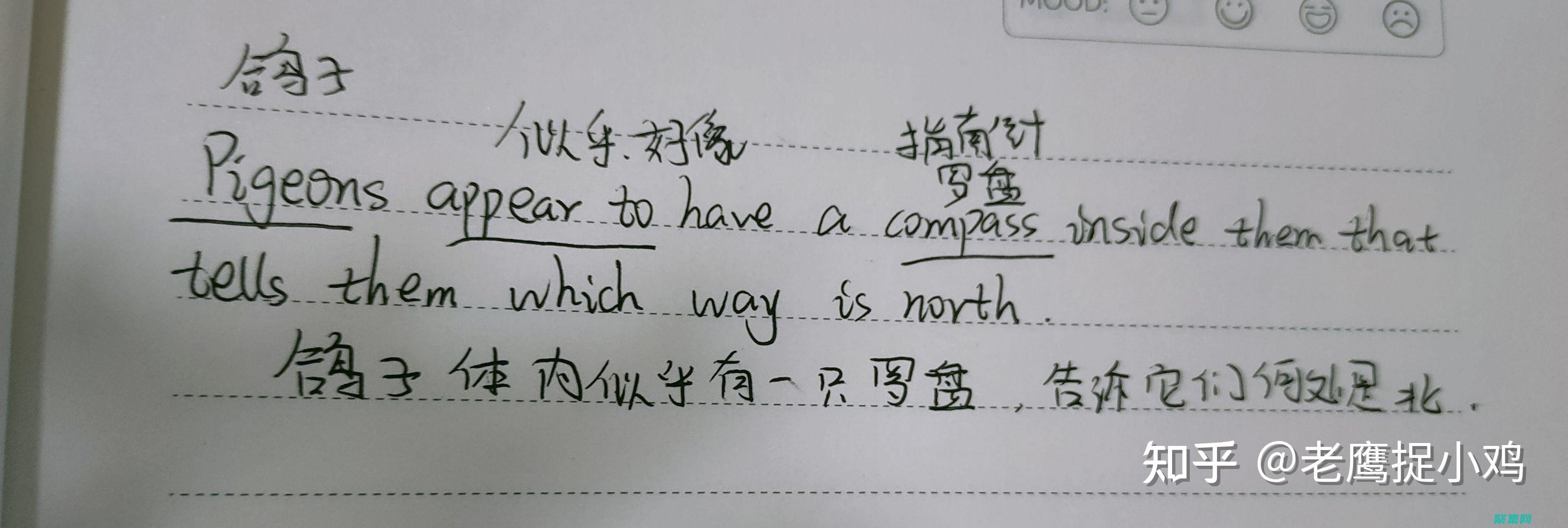 教程這個單詞英文怎么翻譯 (教程這個單詞怎么讀)