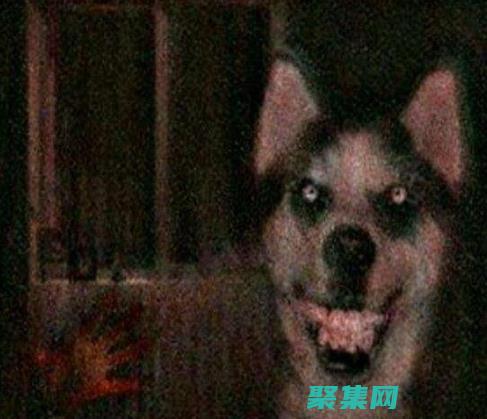 了解其黑暗魅力