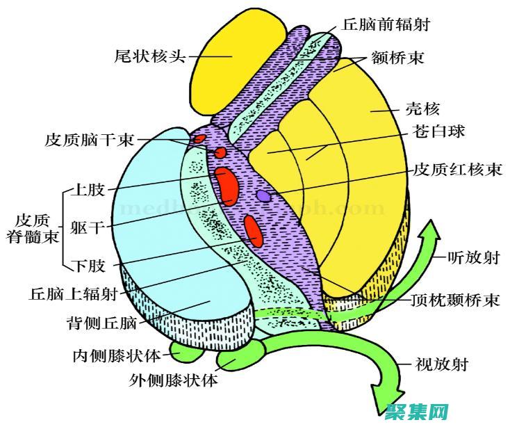夢境的和特征