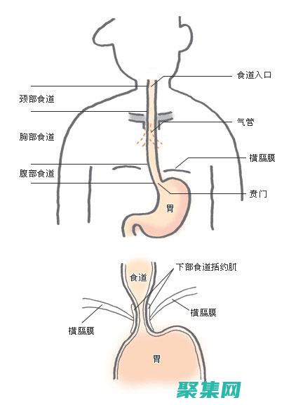 織夢的解剖學：了解夢境的結構和特征 (織夢是啥)