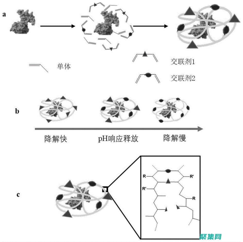 釋放 Java 編程的力量，盡情享受免費學習的樂趣 (java如何釋放對象)