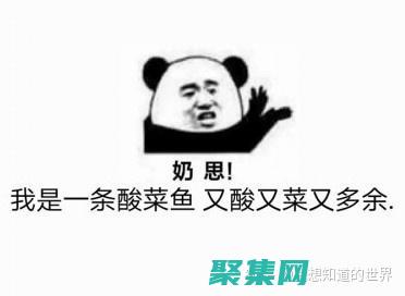 缺點：有些教程可能過時或過于復雜、網站設計混亂(缺點也可能是優點)