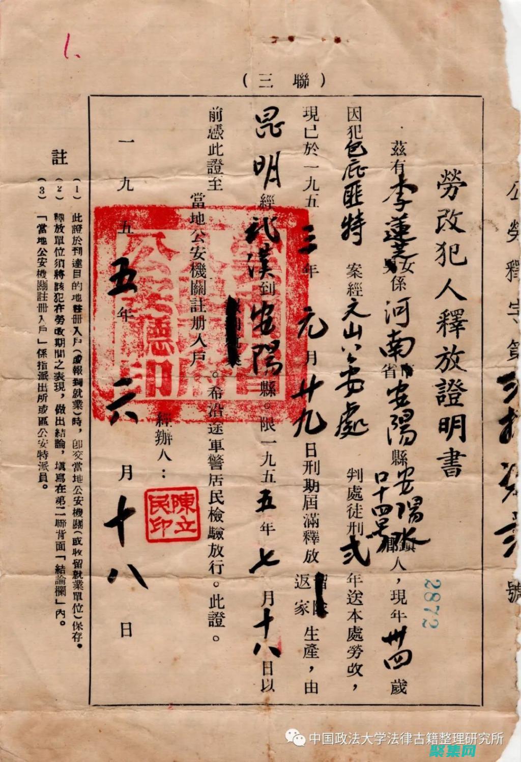 掌握令人驚嘆的