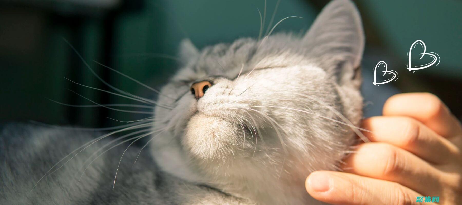 揭秘其功能和優勢