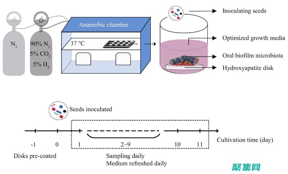 Rom在計算機科學中的作用
