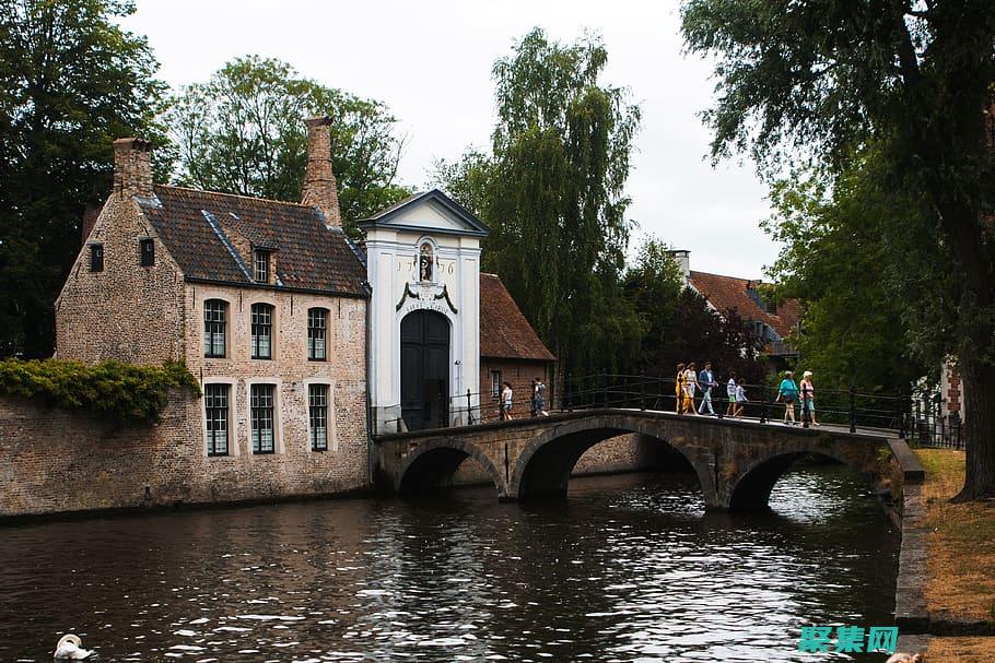 掌握偽隨機和真隨機的區別