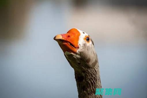 系統數據標簽