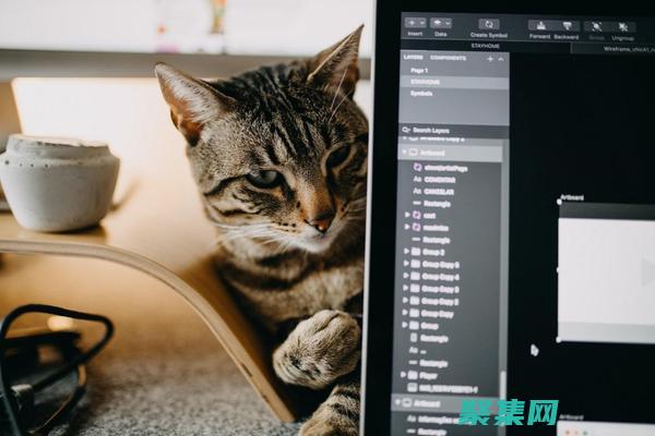 語言的藝術與科學