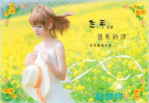 一網打盡！10款頂級織夢淘寶客模板等你來下載 (一網打盡1-16)