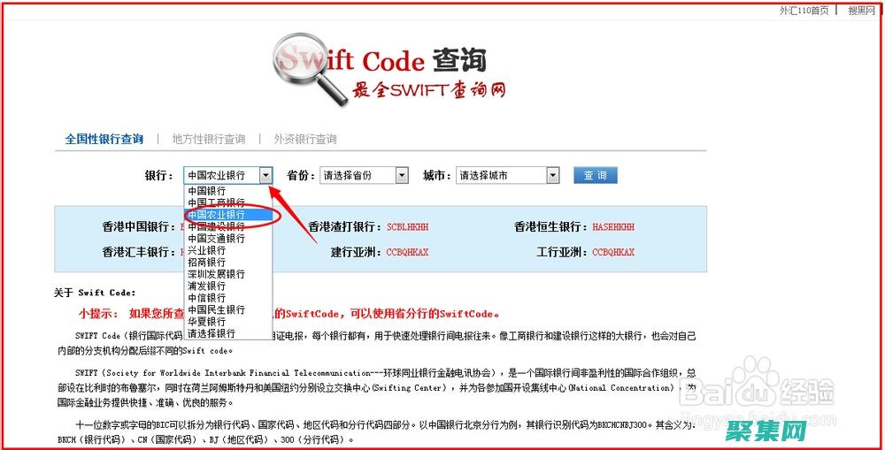 探索海洋的歐美動畫片