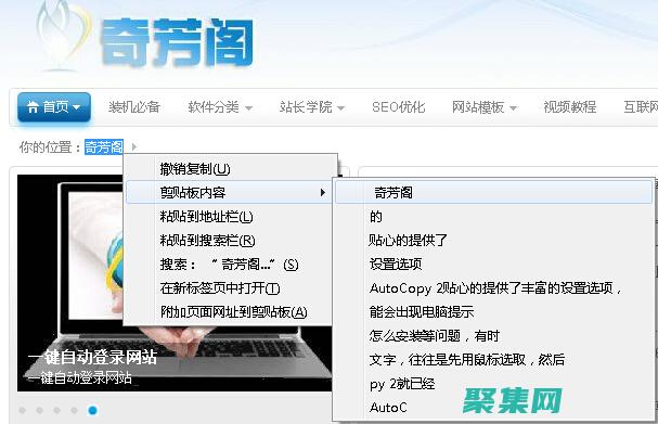 復制自動生成的代碼。(復制自動生成的序號)