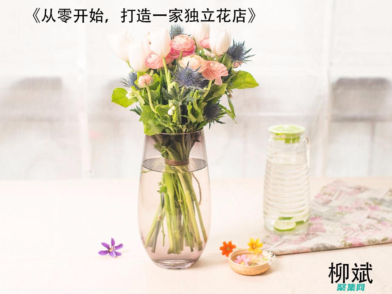 從零開始打造你的夢想網站：織夢建站全能教程 (從零開始打造救世組織)