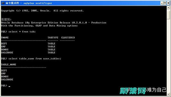 使用 Oracle Database 的高級功能提高數據庫性能和可靠性 (使用oracle數據庫的公司)