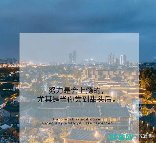 超越平庸追求完美的意思