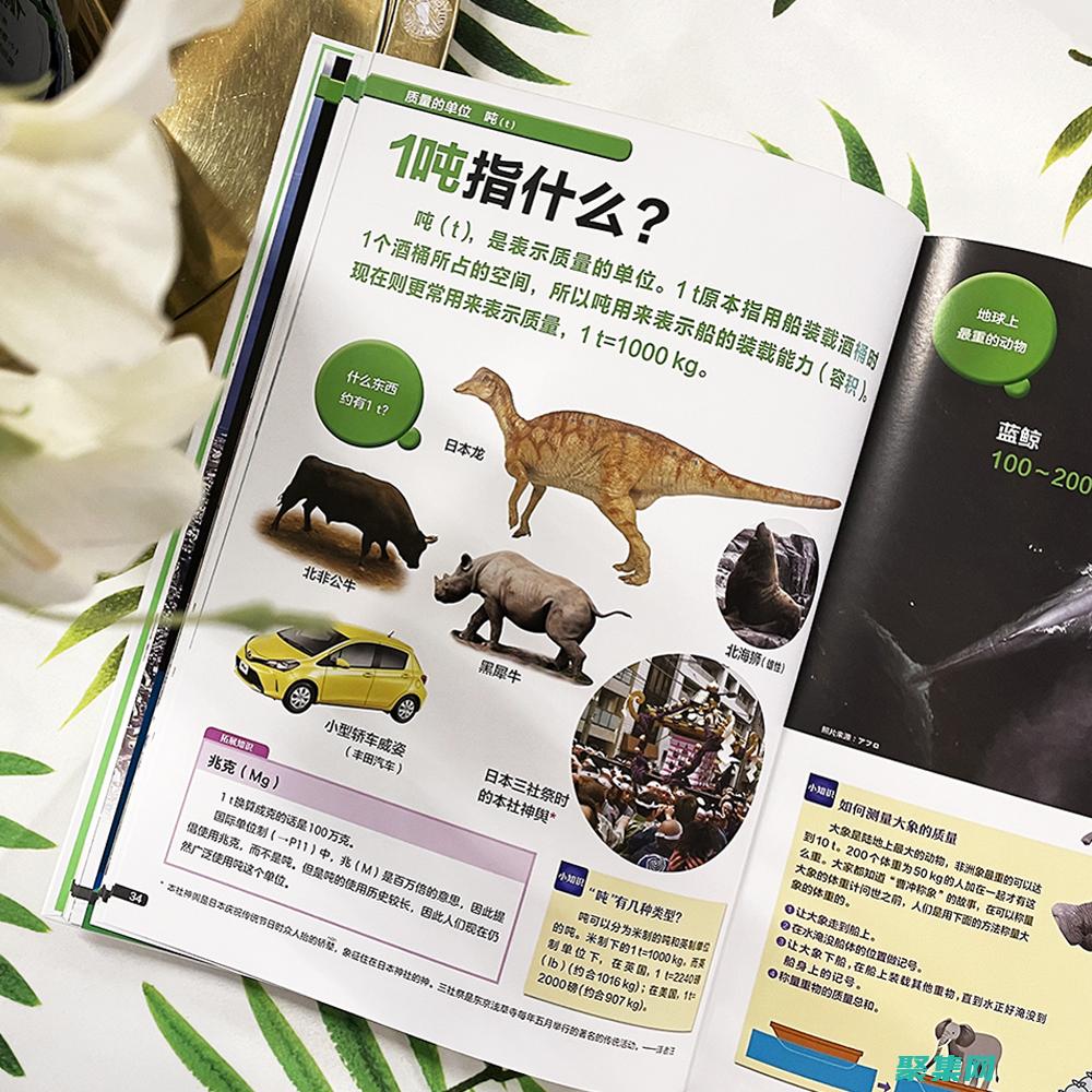 尺度函數在物理學中的作用：從材料科學到量子力學 (尺度函數在物理中表示)