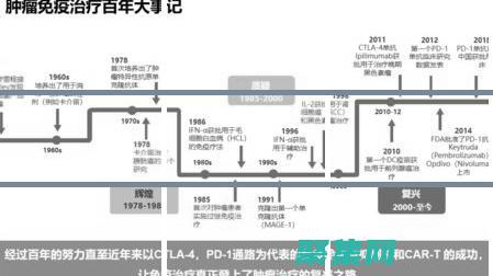 用Java構建解決方案