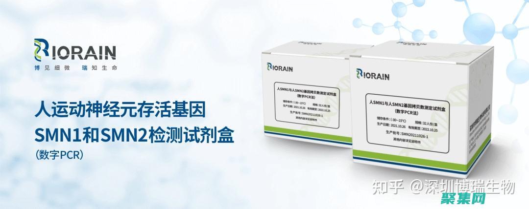 數字轉換為安全字符串