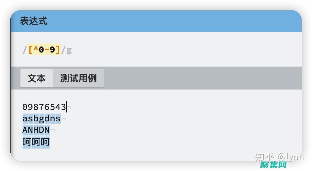 正則表達式驗證器：數據輸入準確性的守護者 (正則表達式驗證)