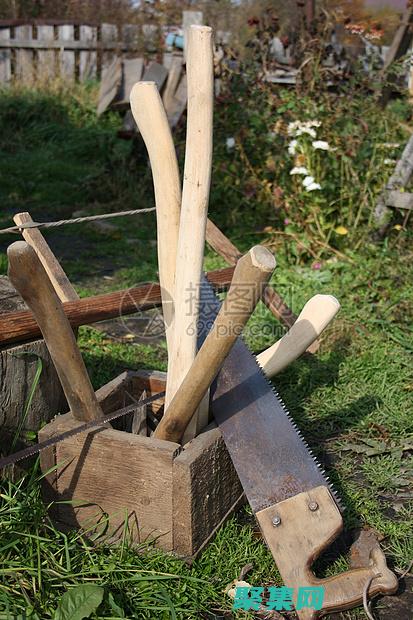 利用現代工具和技術進行