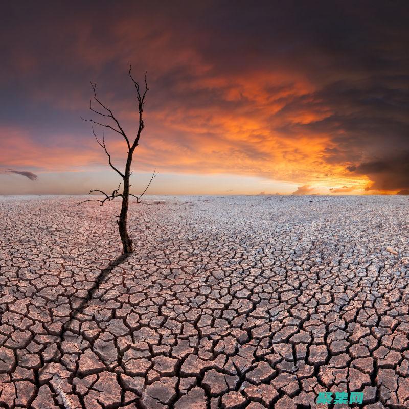 生態系統的滅亡