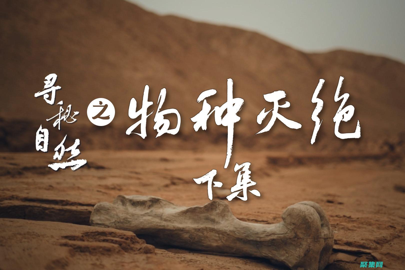 第六次大滅絕：環境退出對生物多樣性的威脅 (第六次大滅絕還有多久)