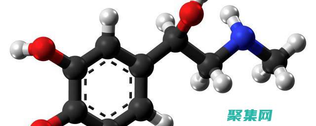感受腎上腺素飆升