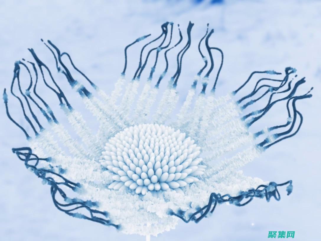 標簽創建可訪問的表單