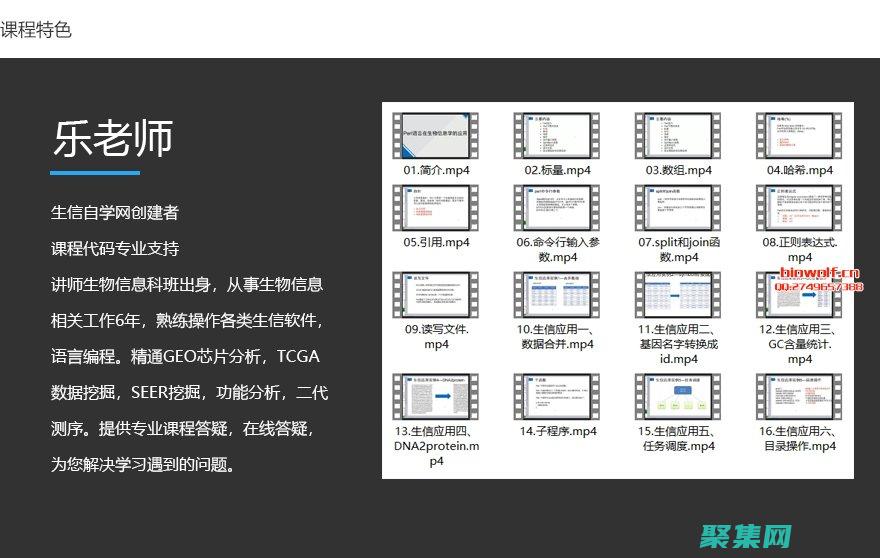 Perl 語言：無所畏懼的腳本高手指南 (perl語言是什么)