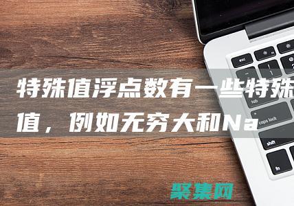 特殊值：浮點數有一些特殊值，例如無窮大和 NaN（非數字），重要作用。(浮點數特殊值)