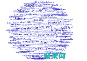 揭秘標簽云：釋放網站導航的強大力量 (標簽云是什么)