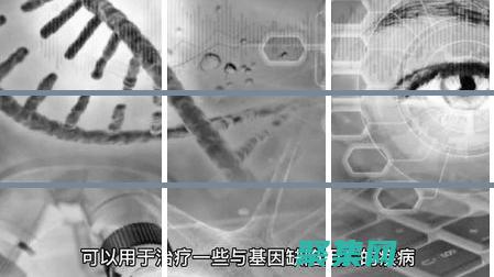 解讀基因編輯技術的倫理復雜性，探討其對人類健康和社會的潛在影響 (解讀基因編輯的意義)