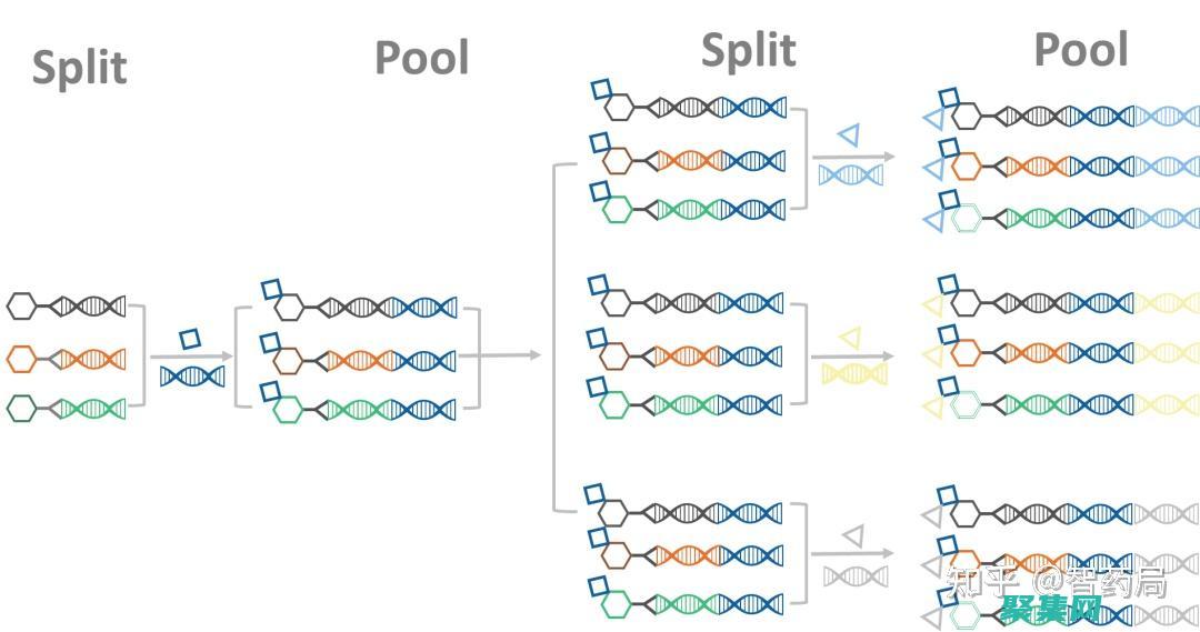 利用Delphi法制定決策方案的基本步驟