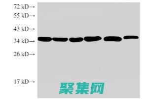 使用 Eclipse 3.4 構建高性能、可擴展的應用程序 (使用eclipse開發java程序的步驟是什么?)