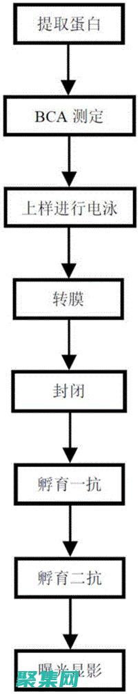 成為出色的軟件者