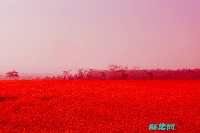 Red Hat Enterprise Linux 6.2：體驗更安全、更高效的操作系統 (redhat Linux)