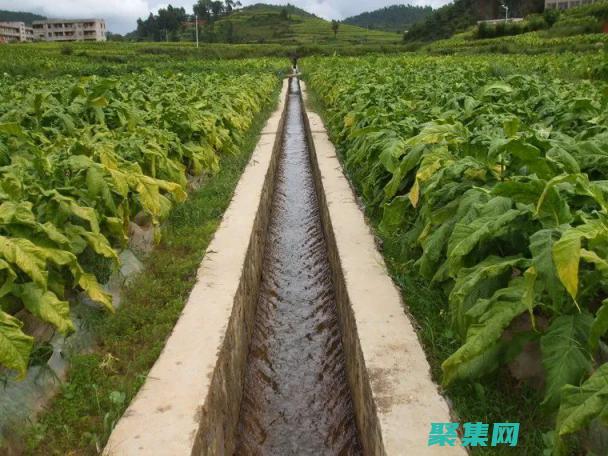 行高在雜志中的關鍵作用