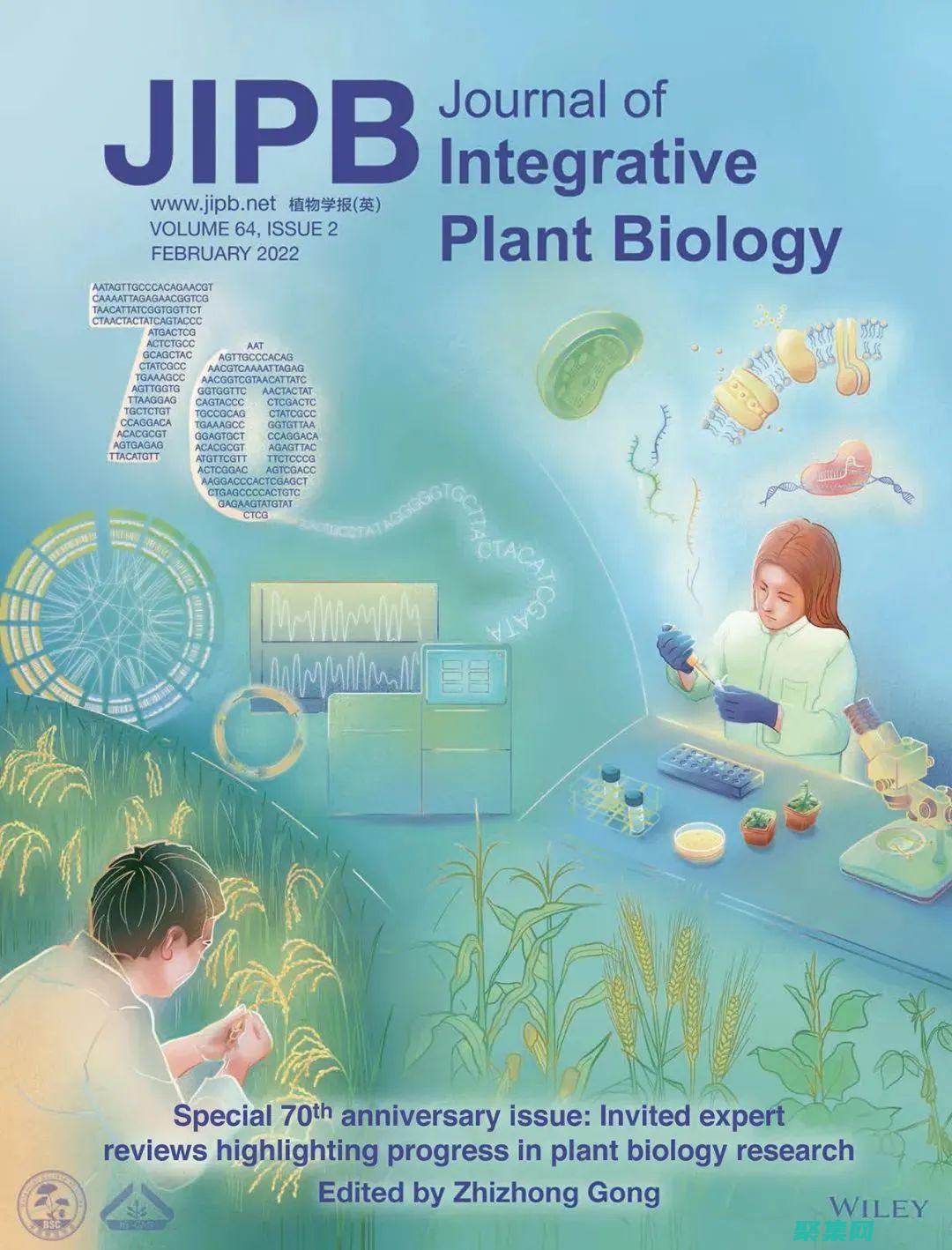 提高效率和敏捷性