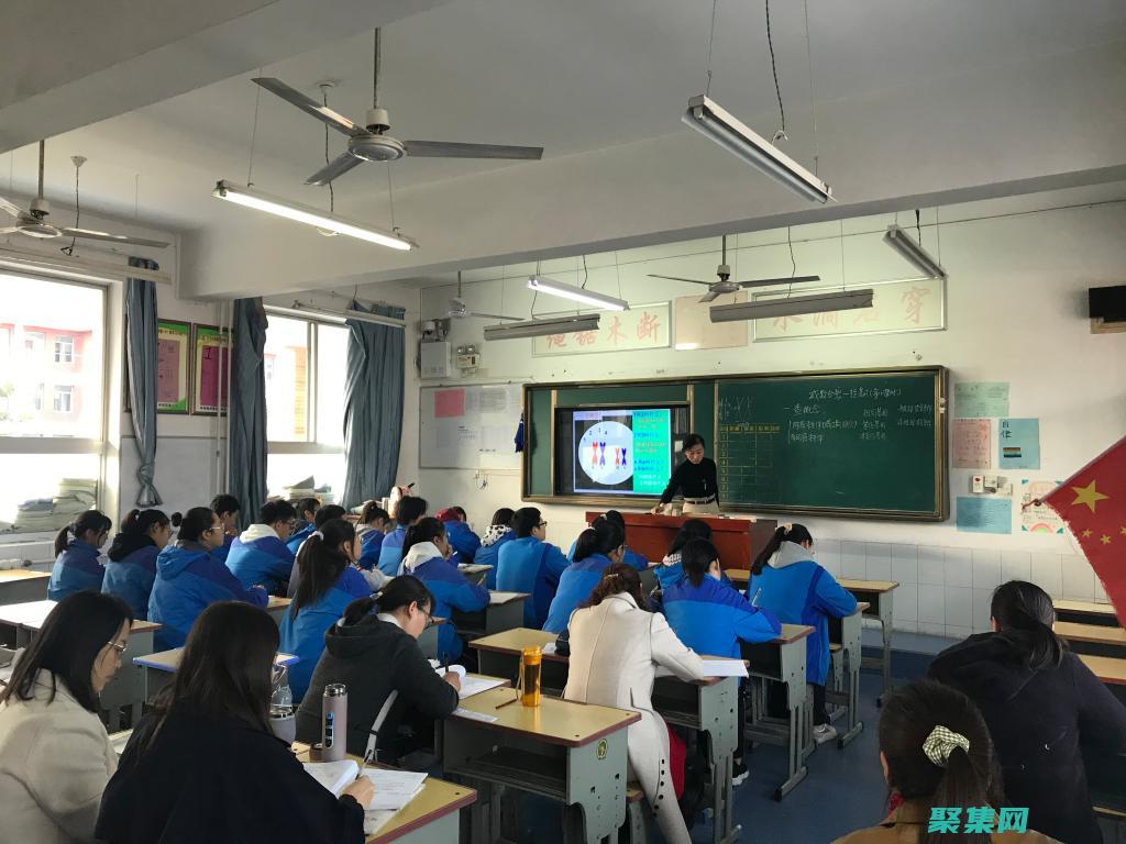 從初學者到專業人士