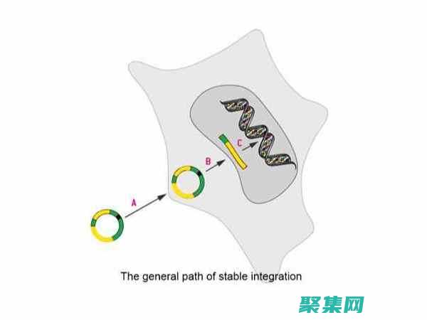 揭開st因子騙局