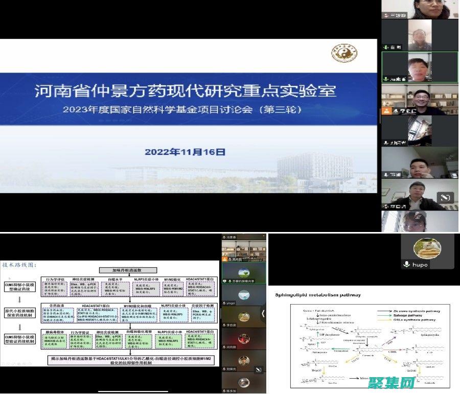 深入研究 Delphi TreeView，以創建復雜的數據結構的可視化 (深入研究的成語有哪些)