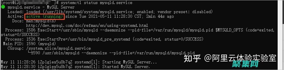 揭開 SQL Server 的奧秘：優化性能和可擴展性的終極指南 (揭開童年父母經典騙術的真相)