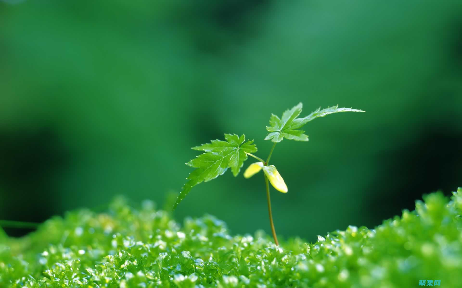 提升您的視覺體驗