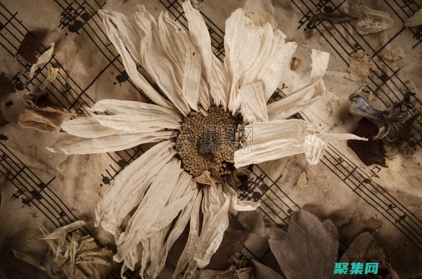 釋放你的復古英文