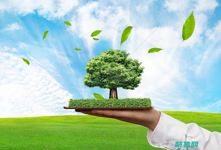 為企業成功鋪平道路的環保舉措