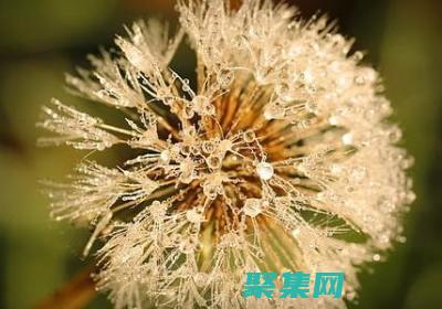 使用goagent解鎖你的互聯網潛力