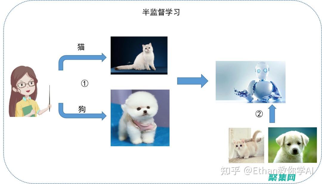 機器學習：構建和訓練機器學習模型，用于分類、回歸和聚類。(機構學與機器人學)