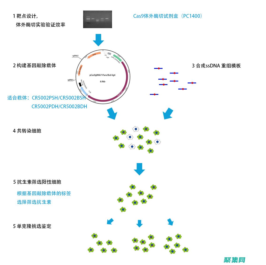 因此全棧開發人員必須不斷學習和適應新的技術和趨勢