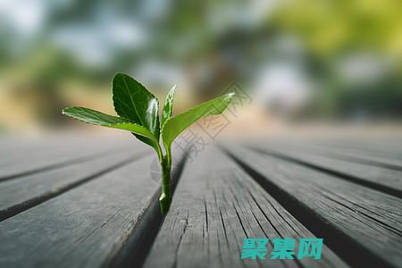 釋放數據敘事的潛力：FusionCharts 免費版 (釋放數據的力量)