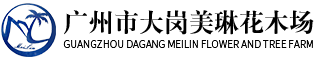廣州花木場-廣州苗木批發-林木工程公司-廣州市南沙區大崗美琳花木場