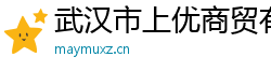 武漢市上優商貿有限公司